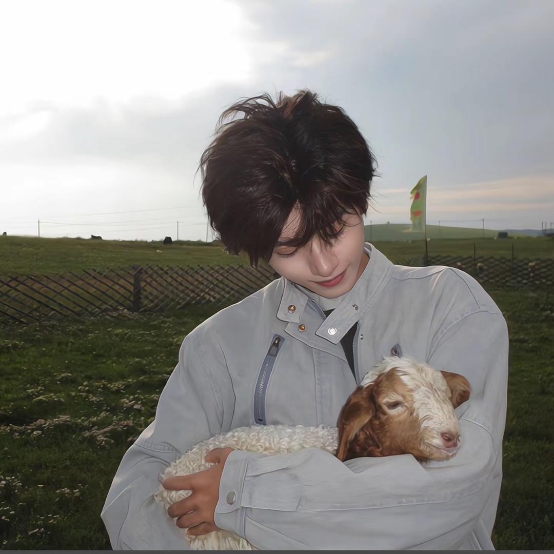 不吃虾 （团队招人）