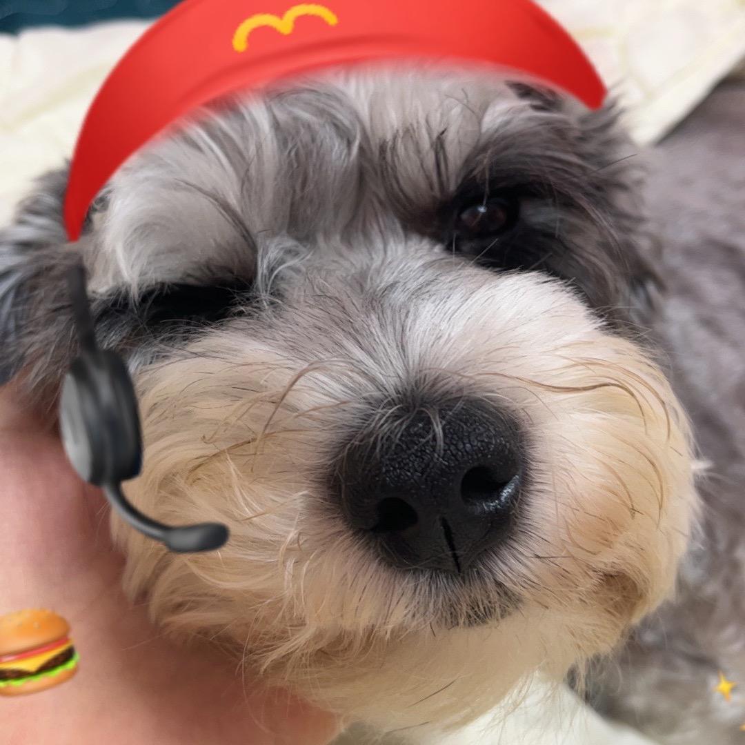 阿羊不会画画