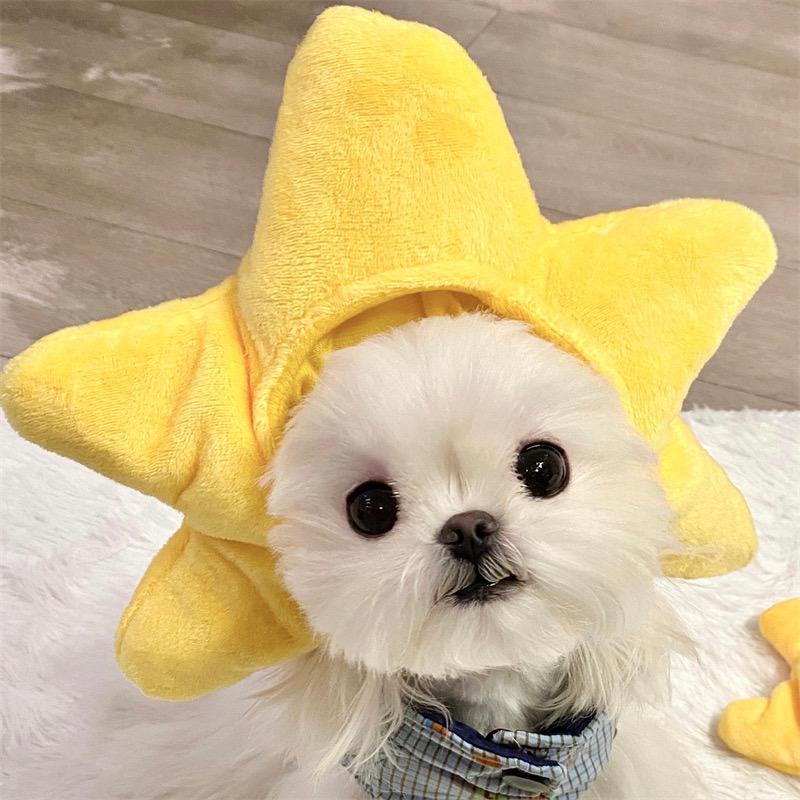 只是20岁小女孩