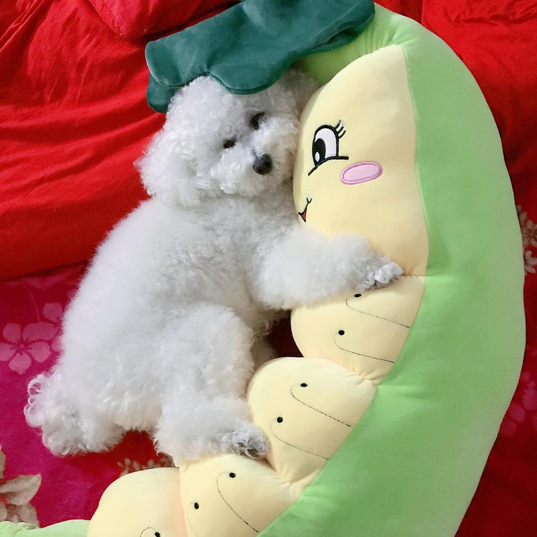 @🌈拓者辅料🎸