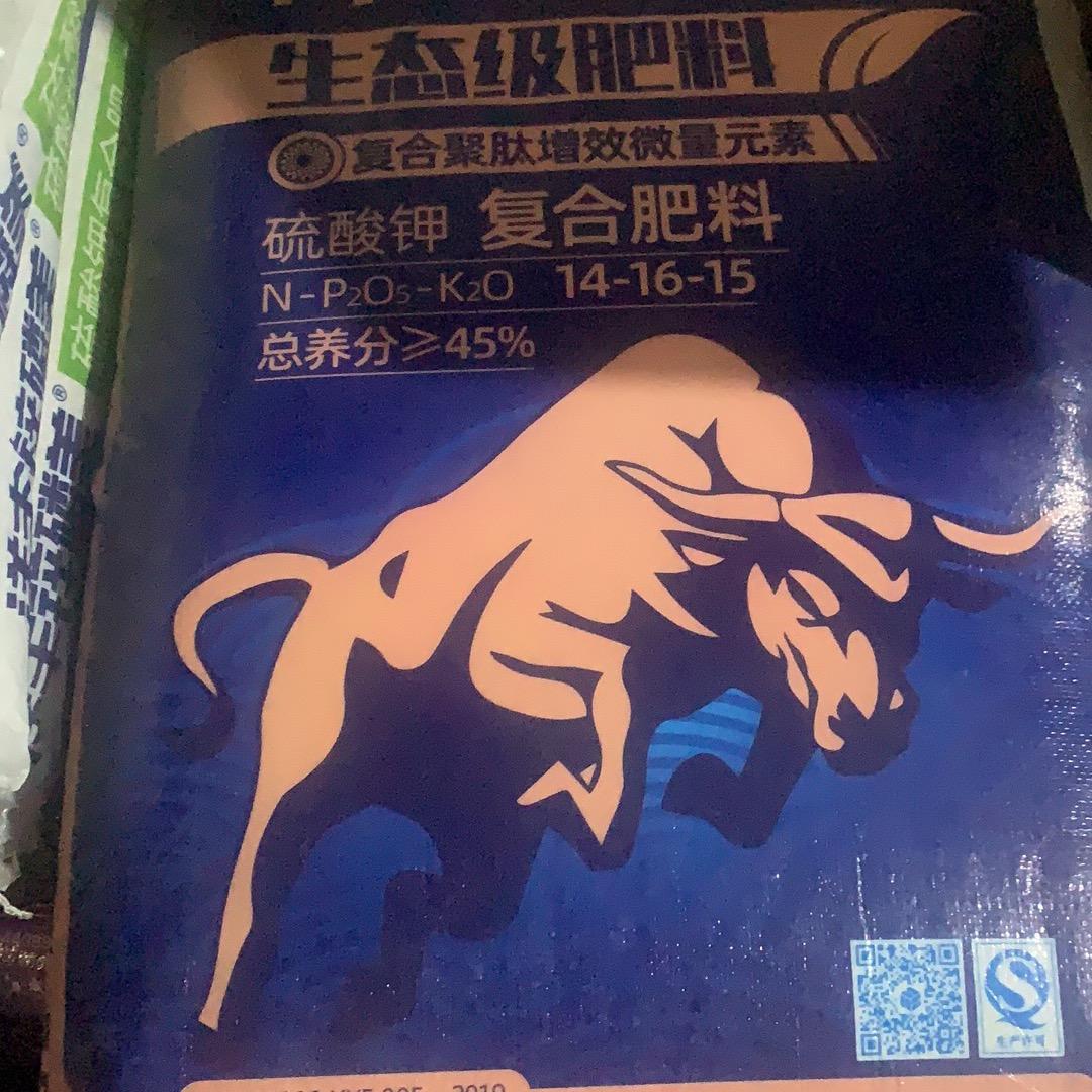 大唐丶兰虾仁
