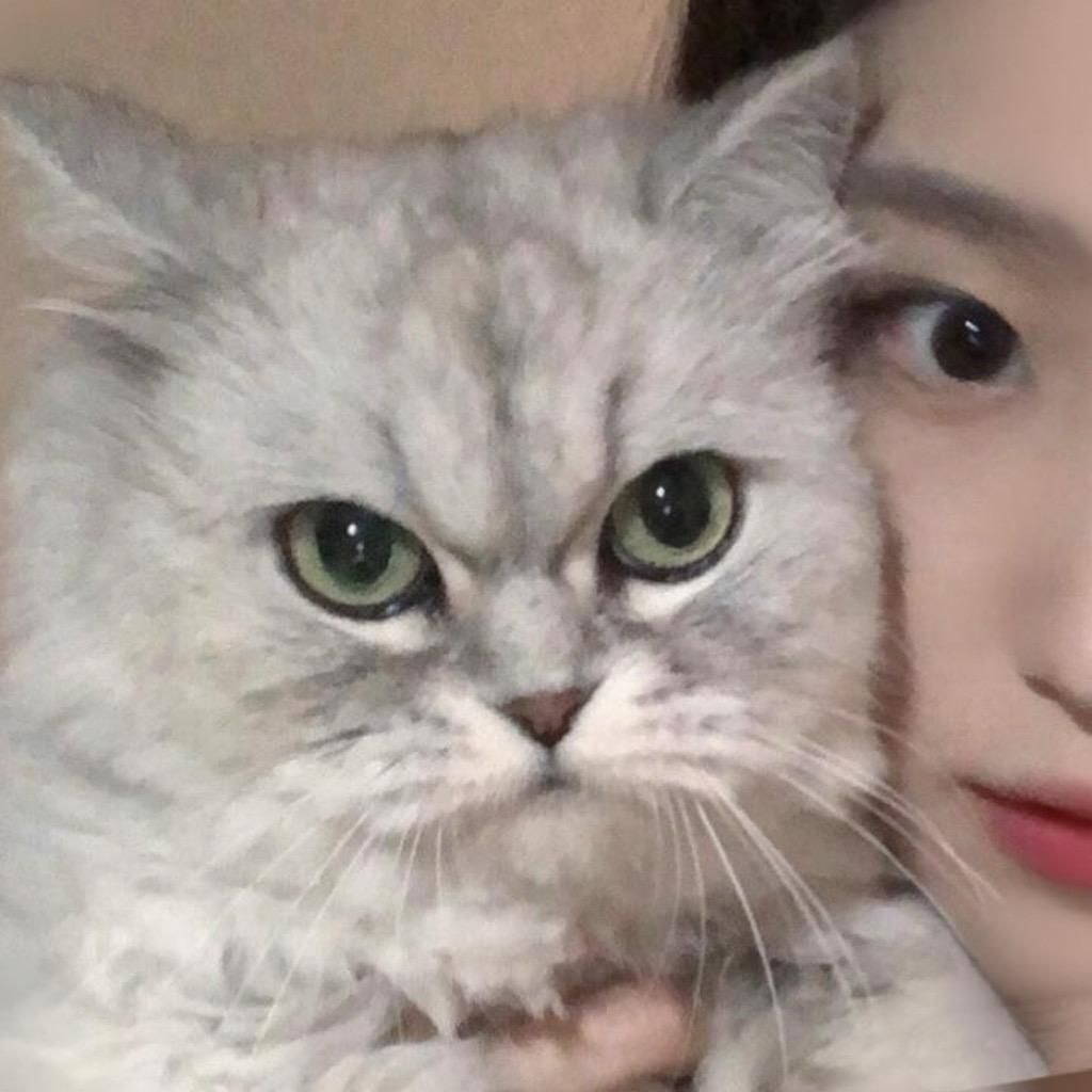 zlllieyy12