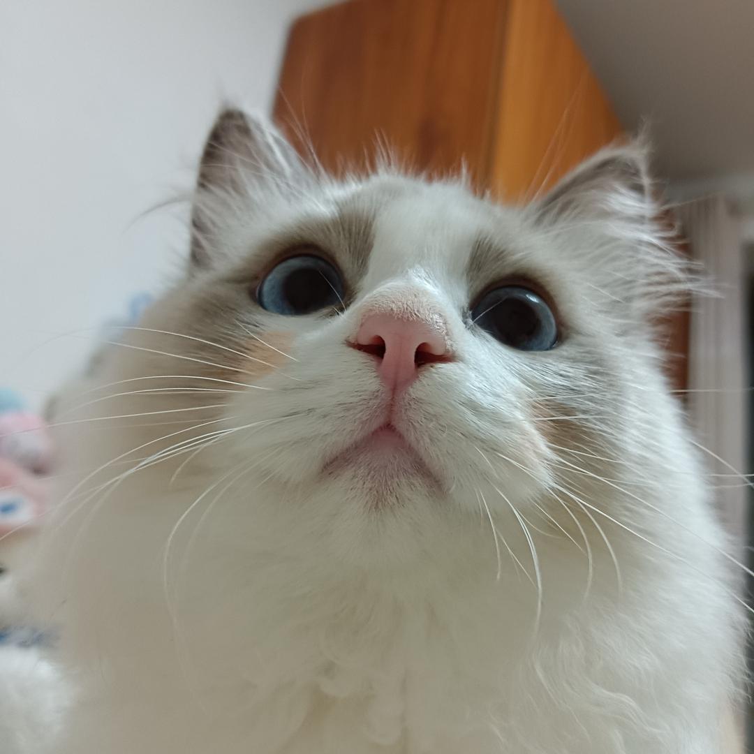 见空