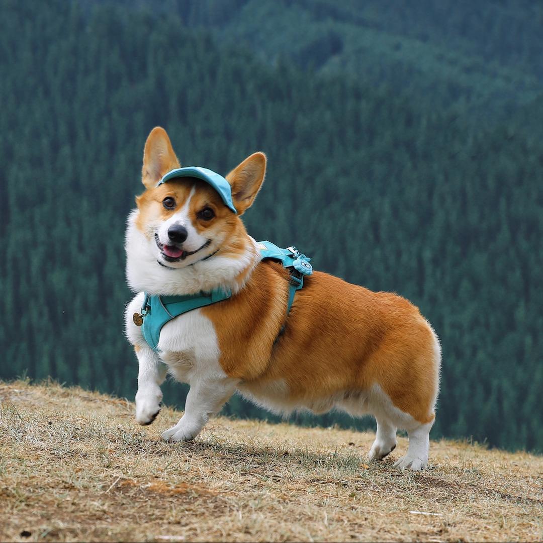 刘𝟲𝟲吃不饱