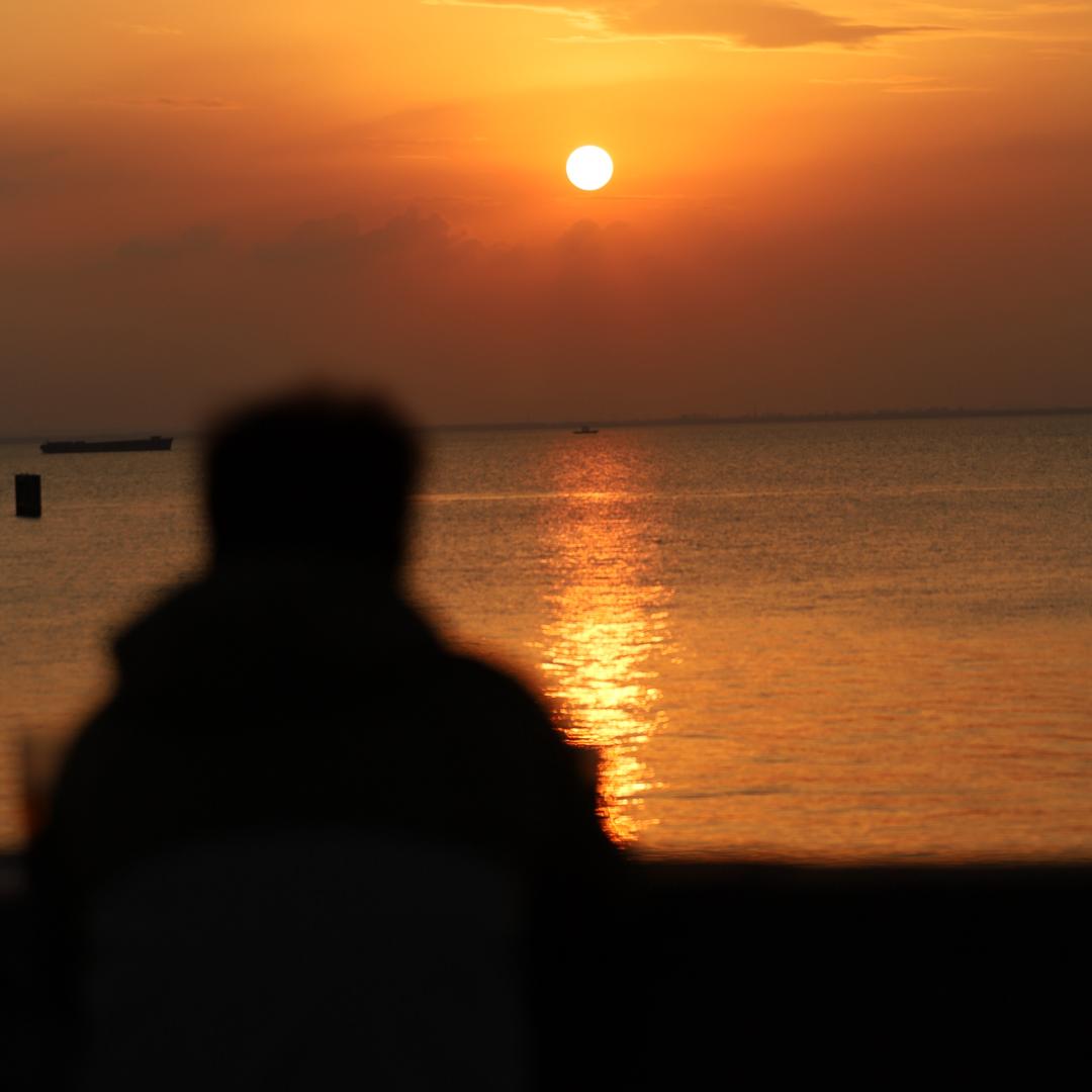 莱比锡不苦胡桃