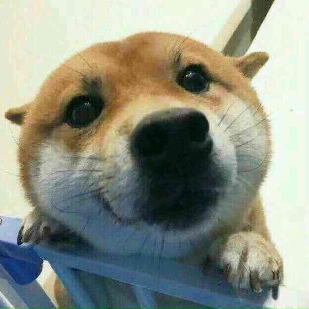 否极泰来