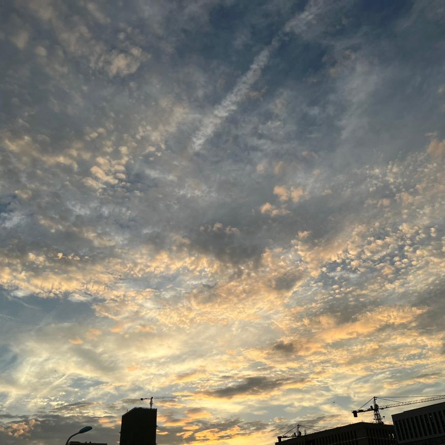 夜间模式已开启