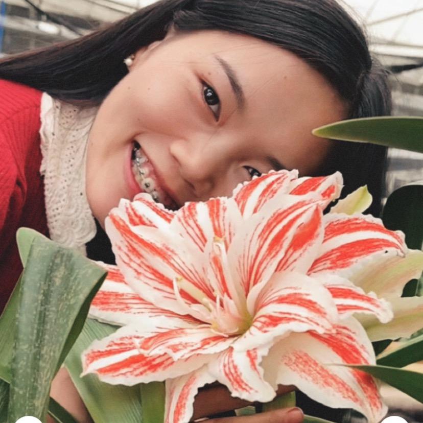 依妮的花园