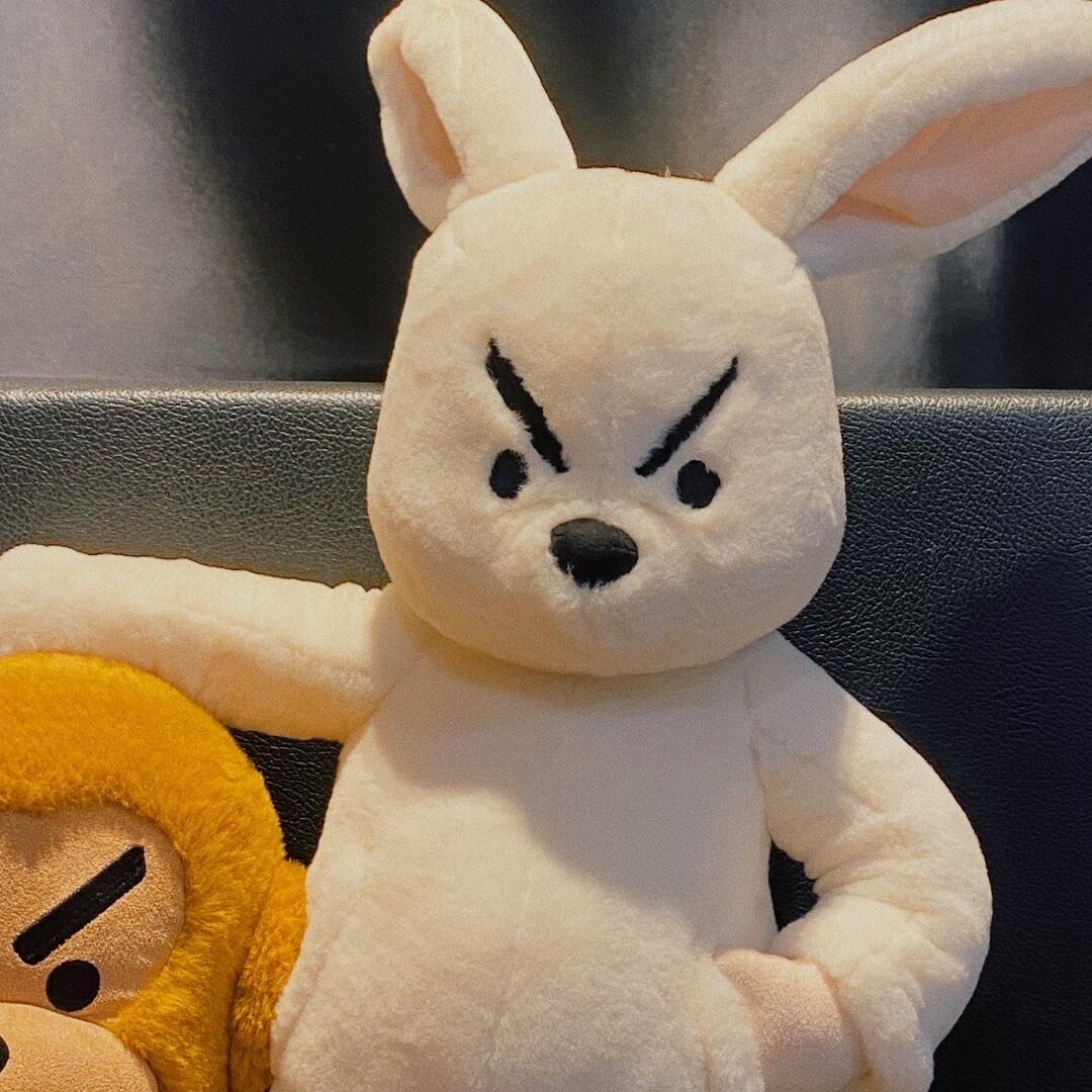 晚安💤