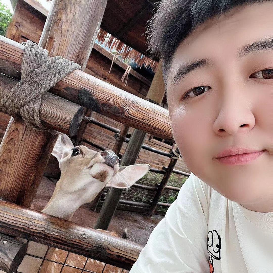 六金宠物🐈‍⬛