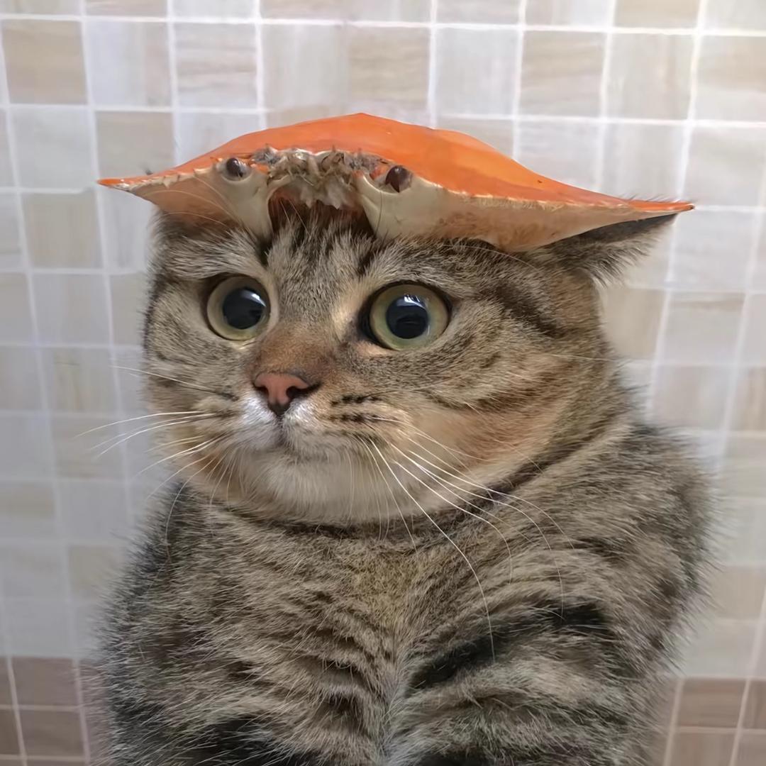 罗小黑℡（不减40斤不改名）