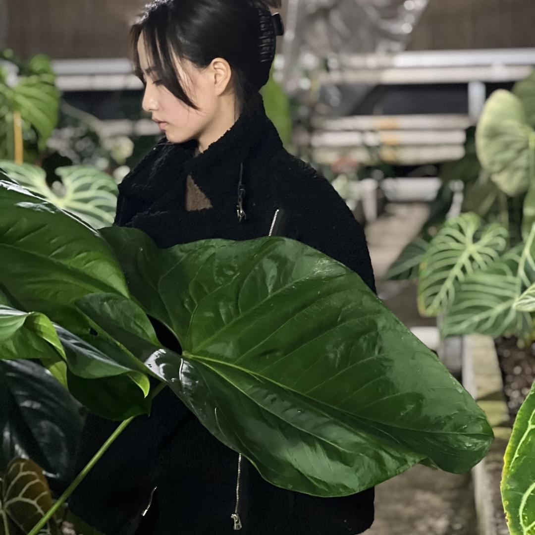 阿 xiii