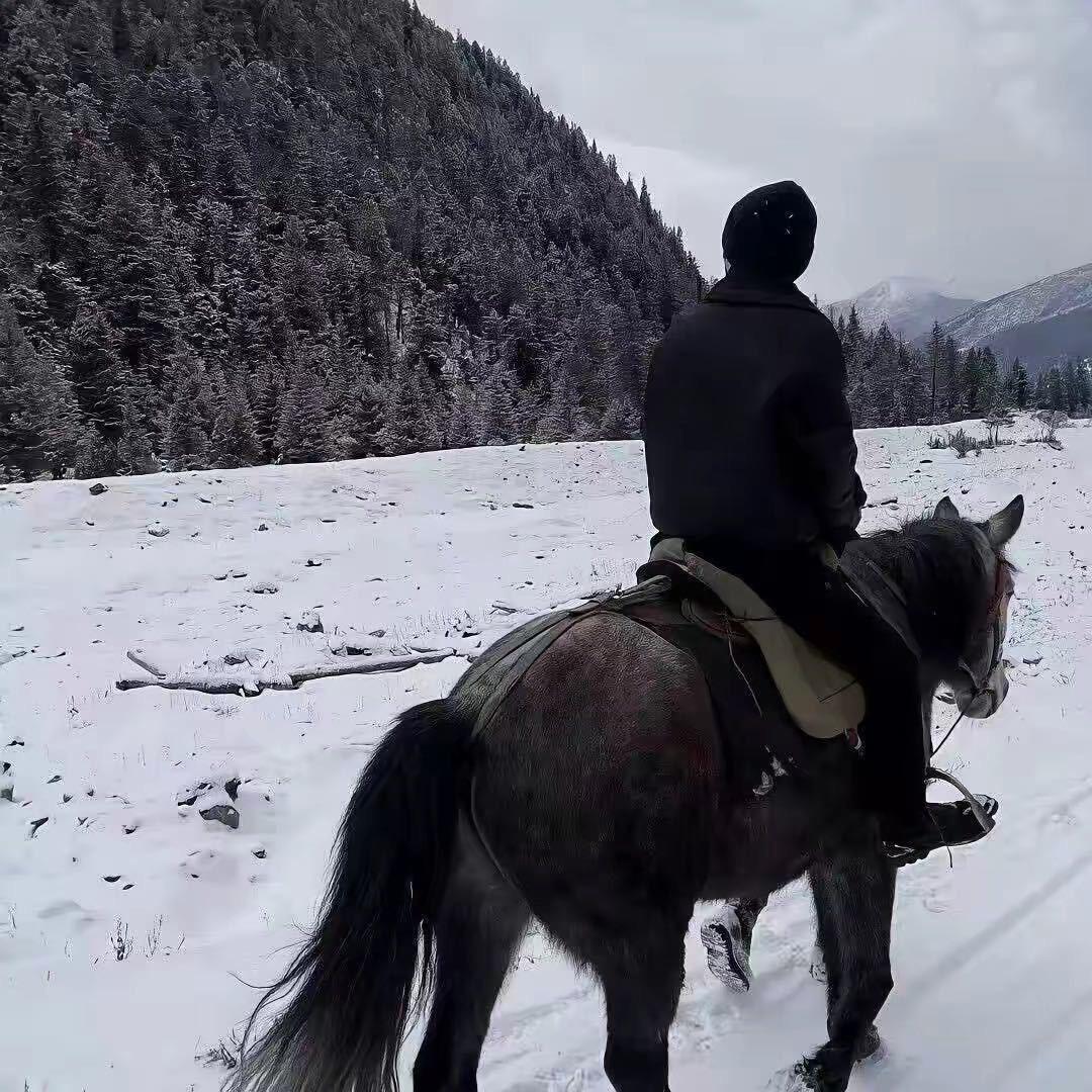 文山电商