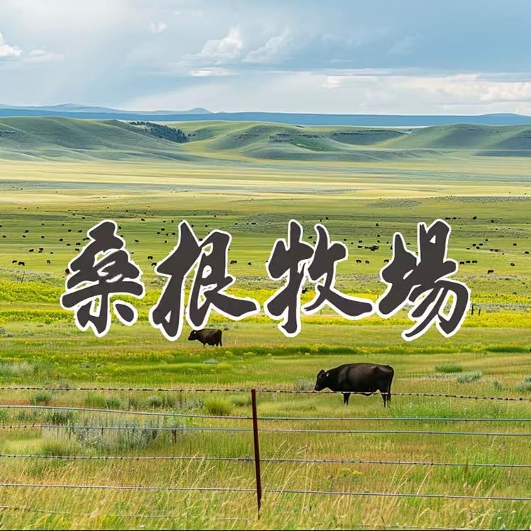 桑根牧场冷冻批发（每天鲜肉直播）