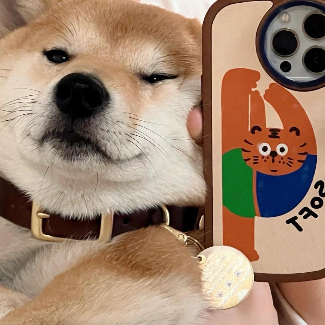 是秋水呀（三角洲行动）