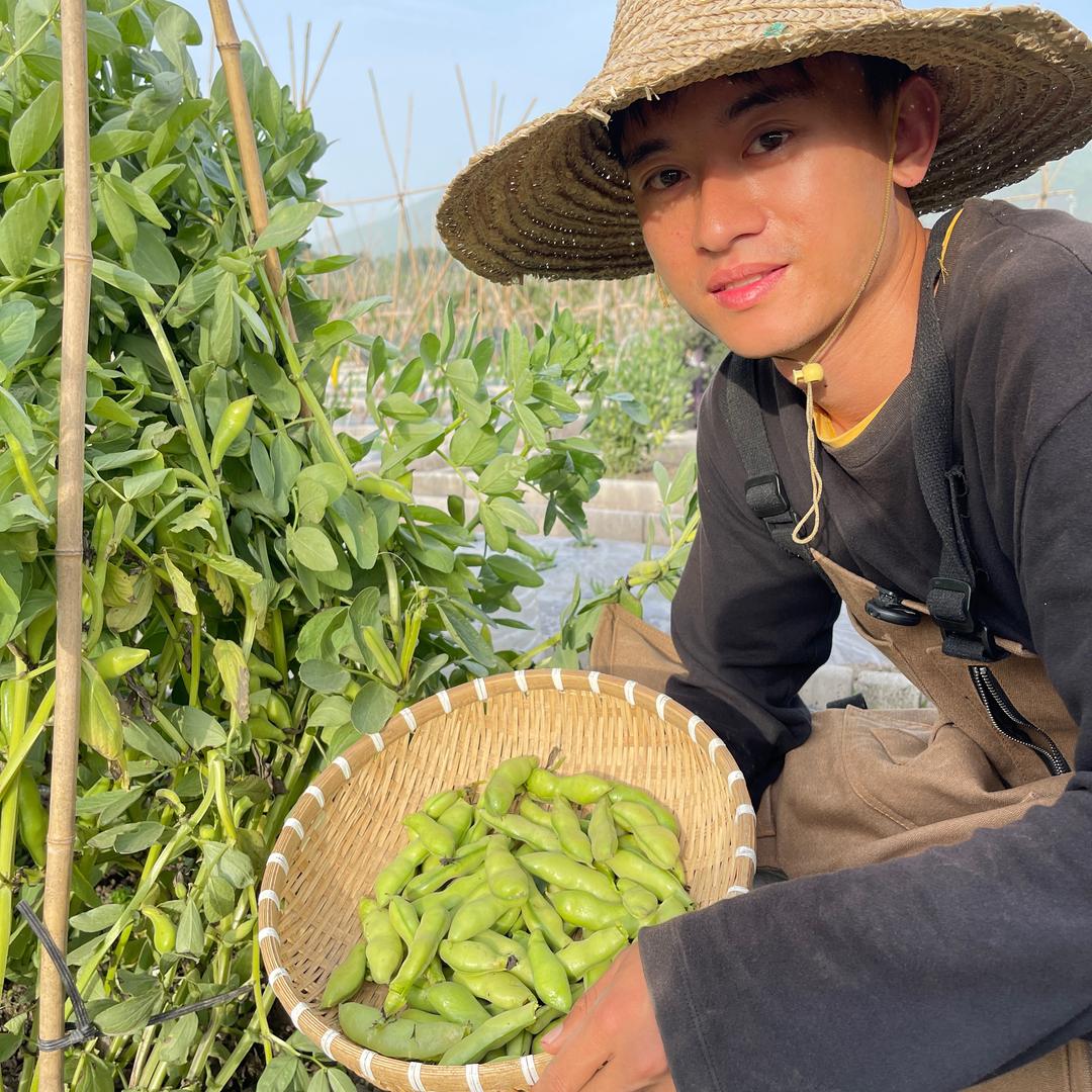 小李在菜园
