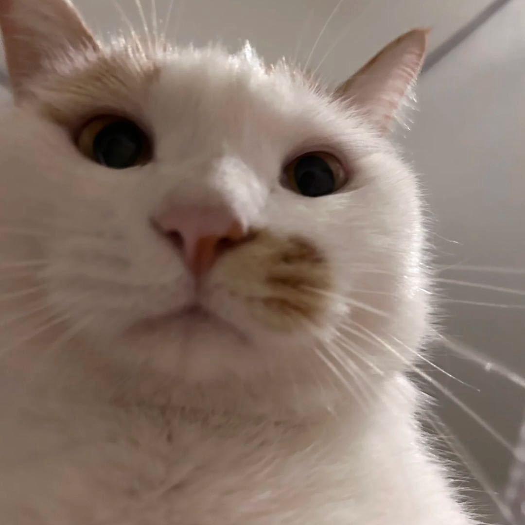 在你脑袋上面扣西瓜