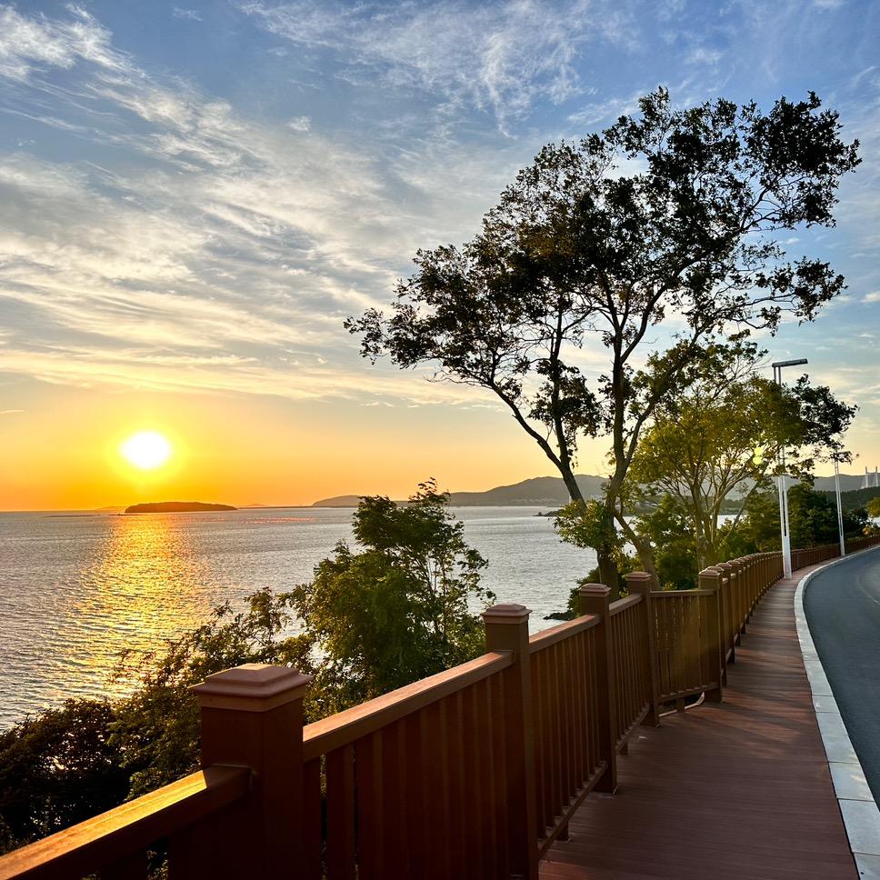 🌈🌈🌈🌈猫🐱走远了❣️