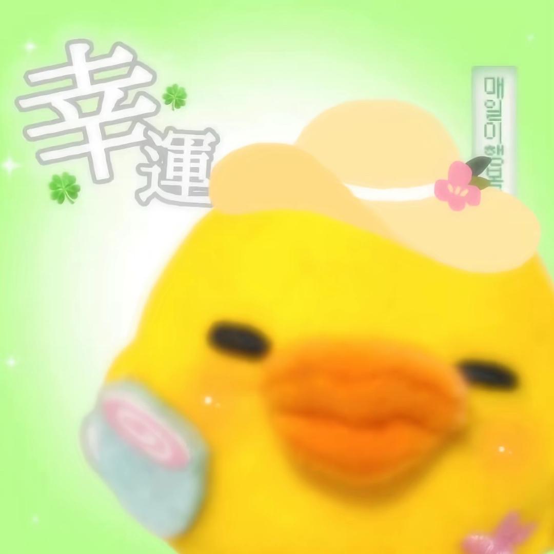 赵木木