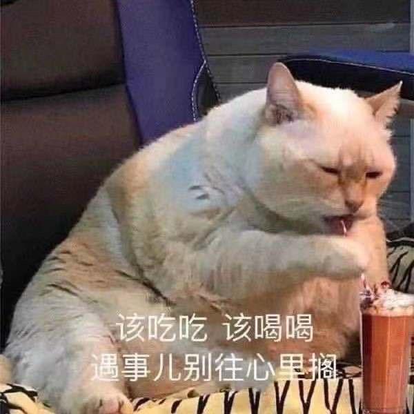 遇见来生