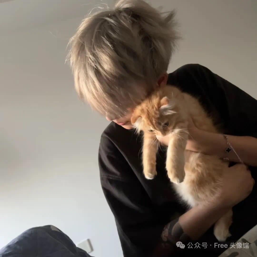 小豪