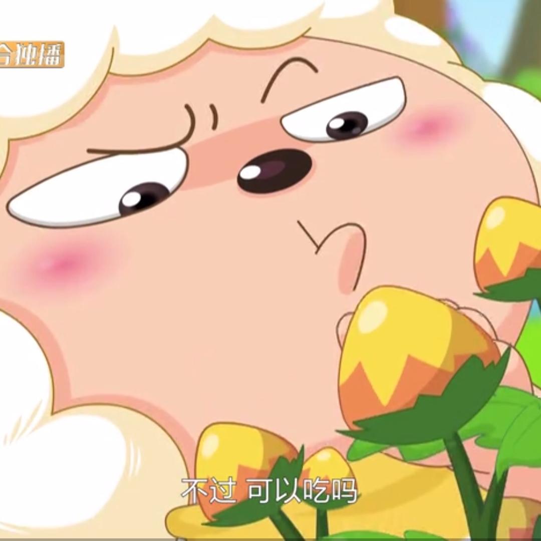 小猫妮查