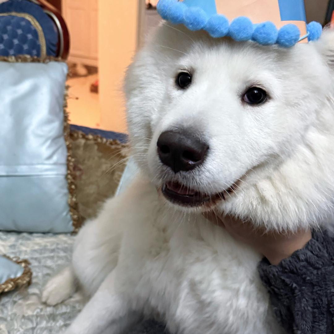 钱多多（多多）