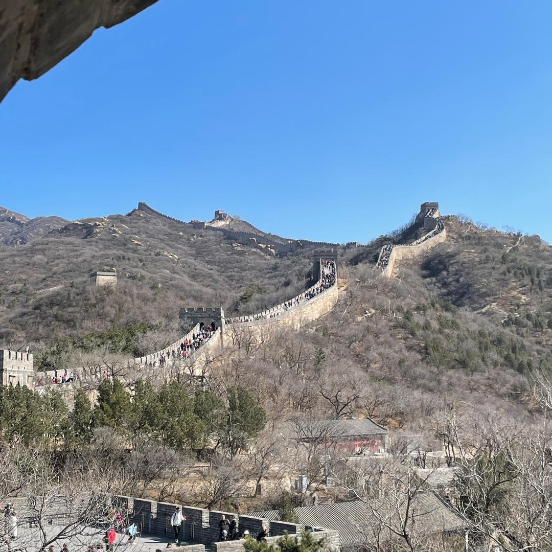 牛爷爷（三角洲行动）