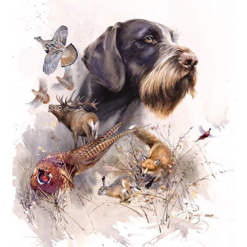 魅力指示犬