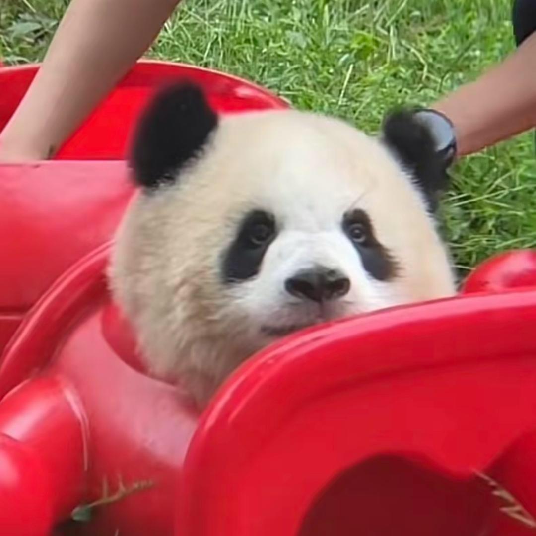铭秋甄选
