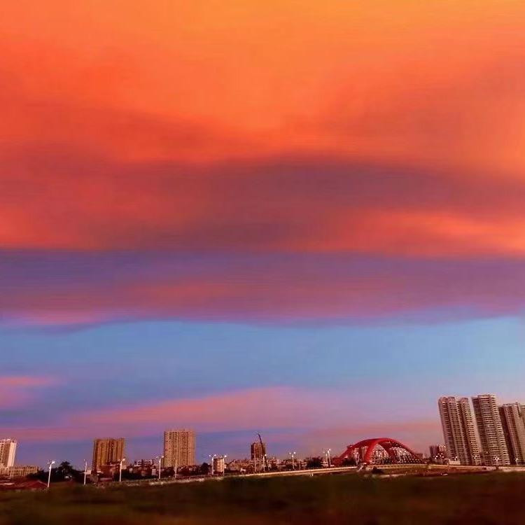 小肥猪和两只马喽