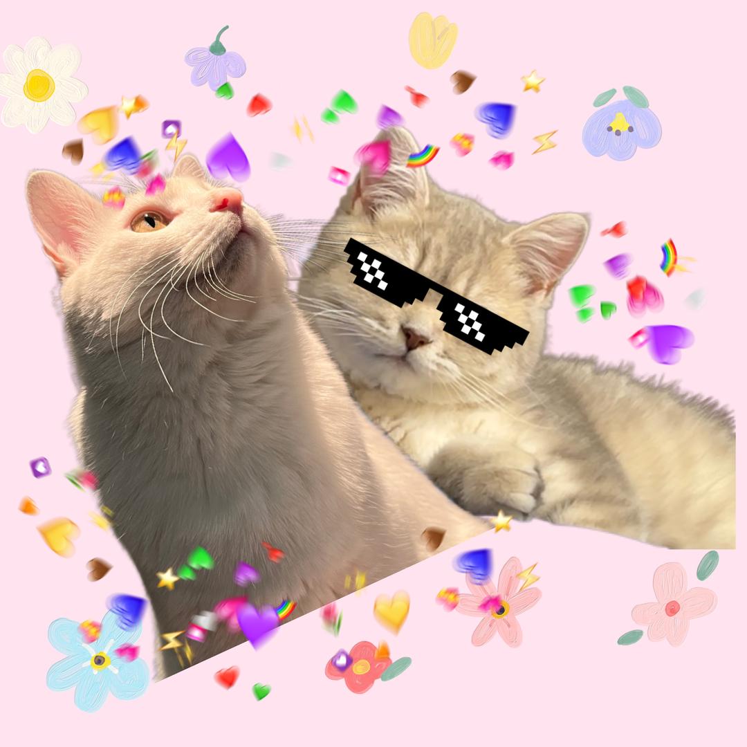 随随（发财版）