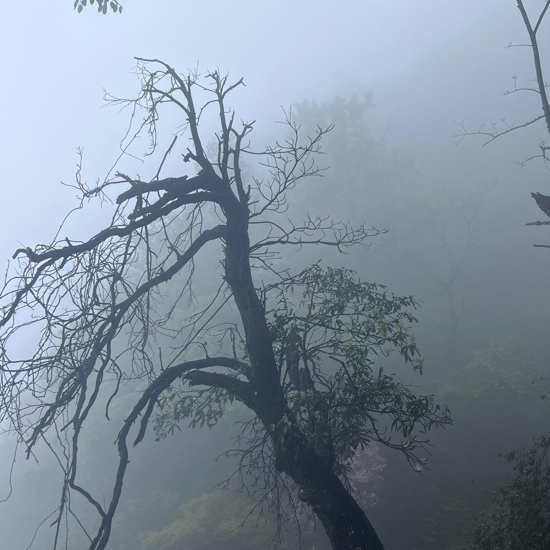 仙女湖区思图特鞋业厂