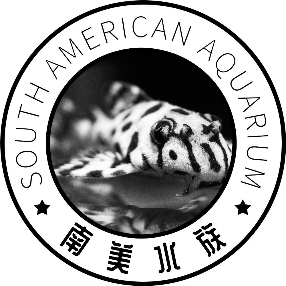 南美水族