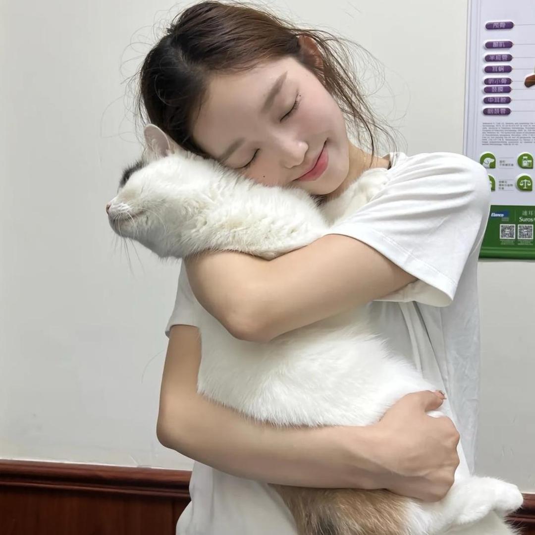 猪猪侠COS光头强打了隔壁村翠花