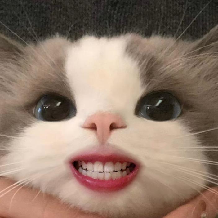 晴绪怪咖