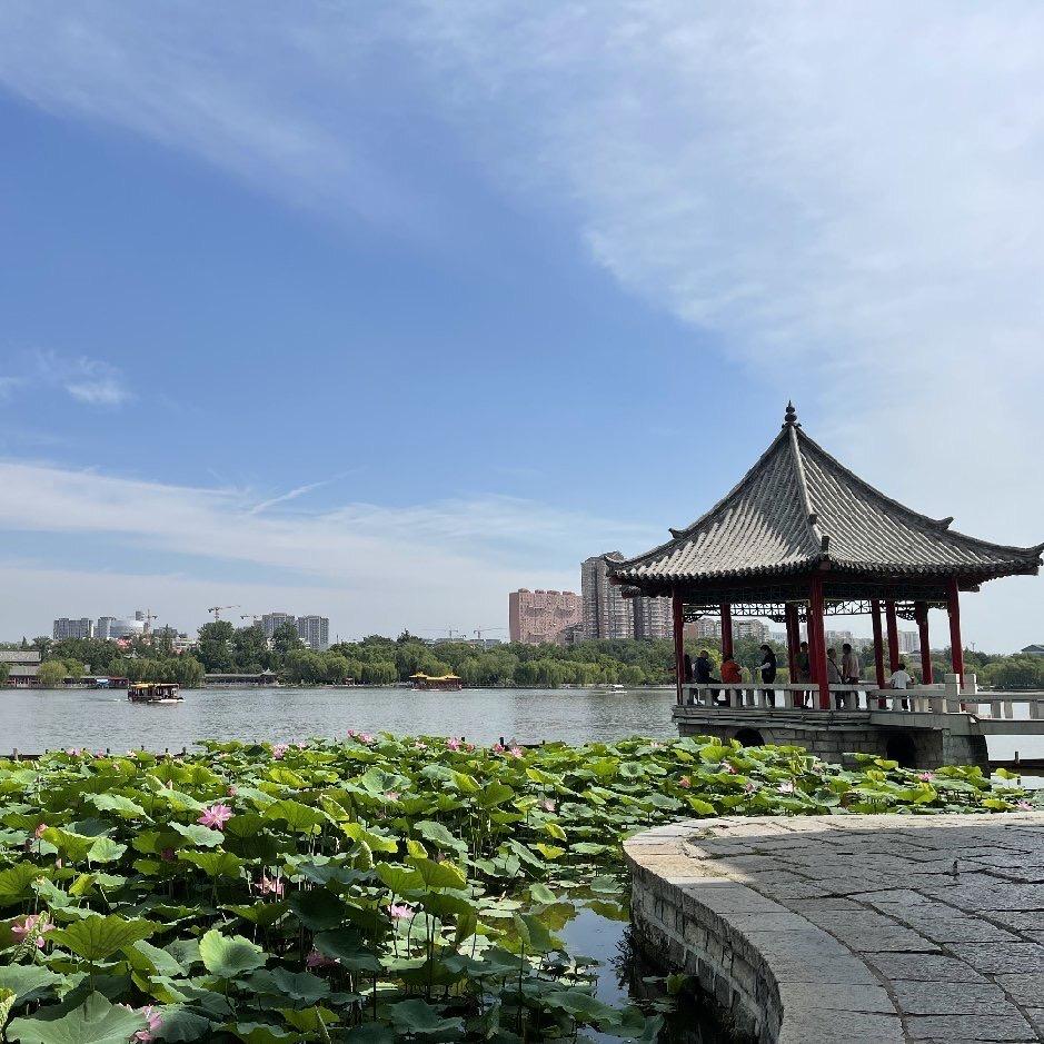 花源花卉绿植