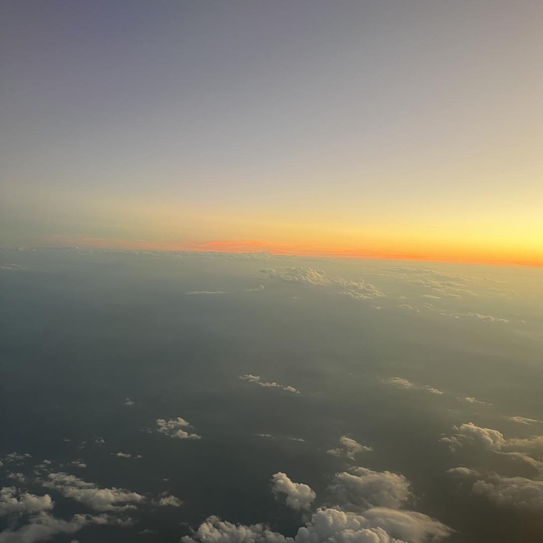 鼠鼠特产 （代跑）柚子