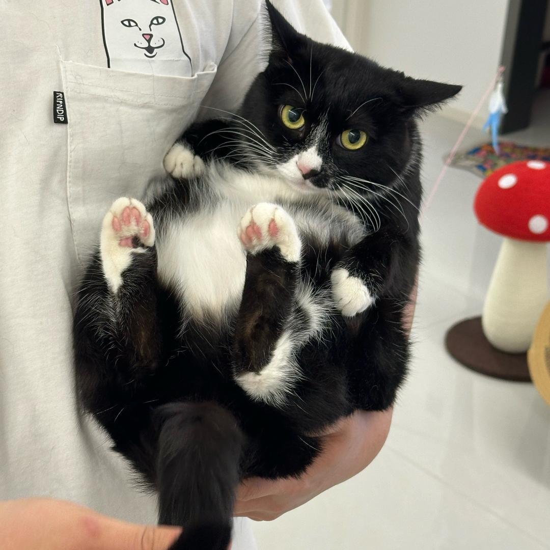 周.