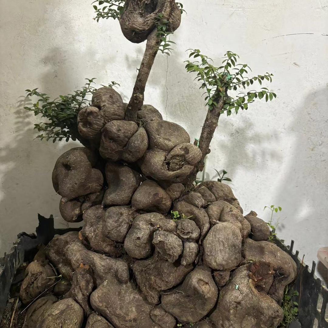 仟沫花卉店