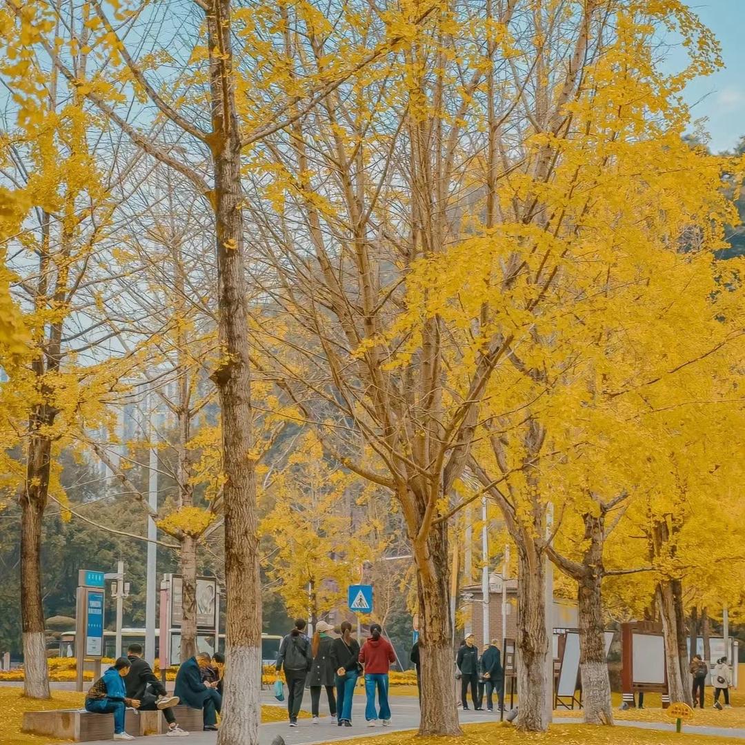 MENGEN日常