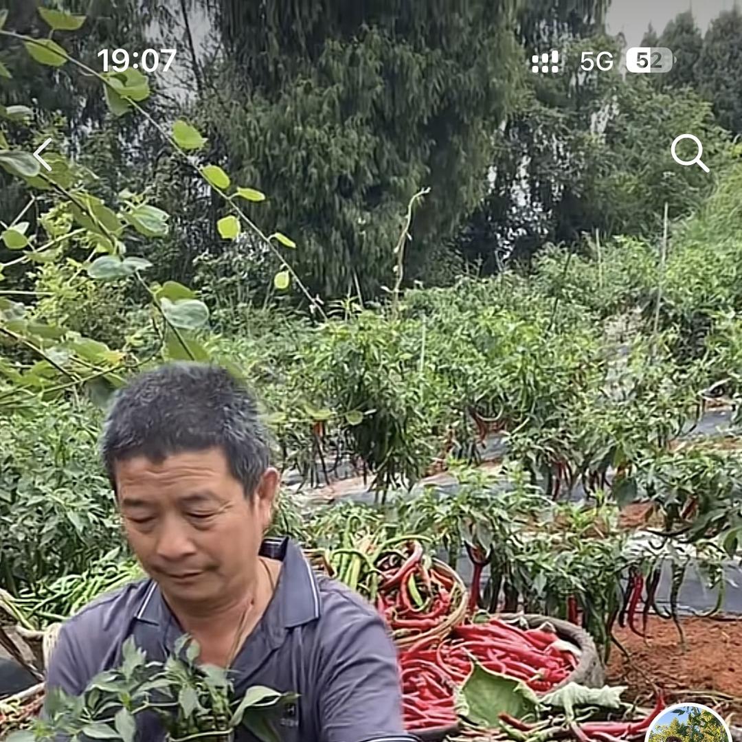 高坪优心农产优品小铺