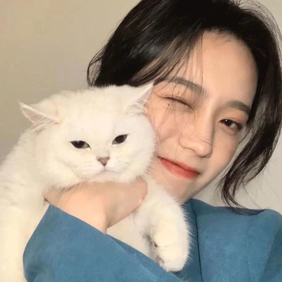 星星💫.