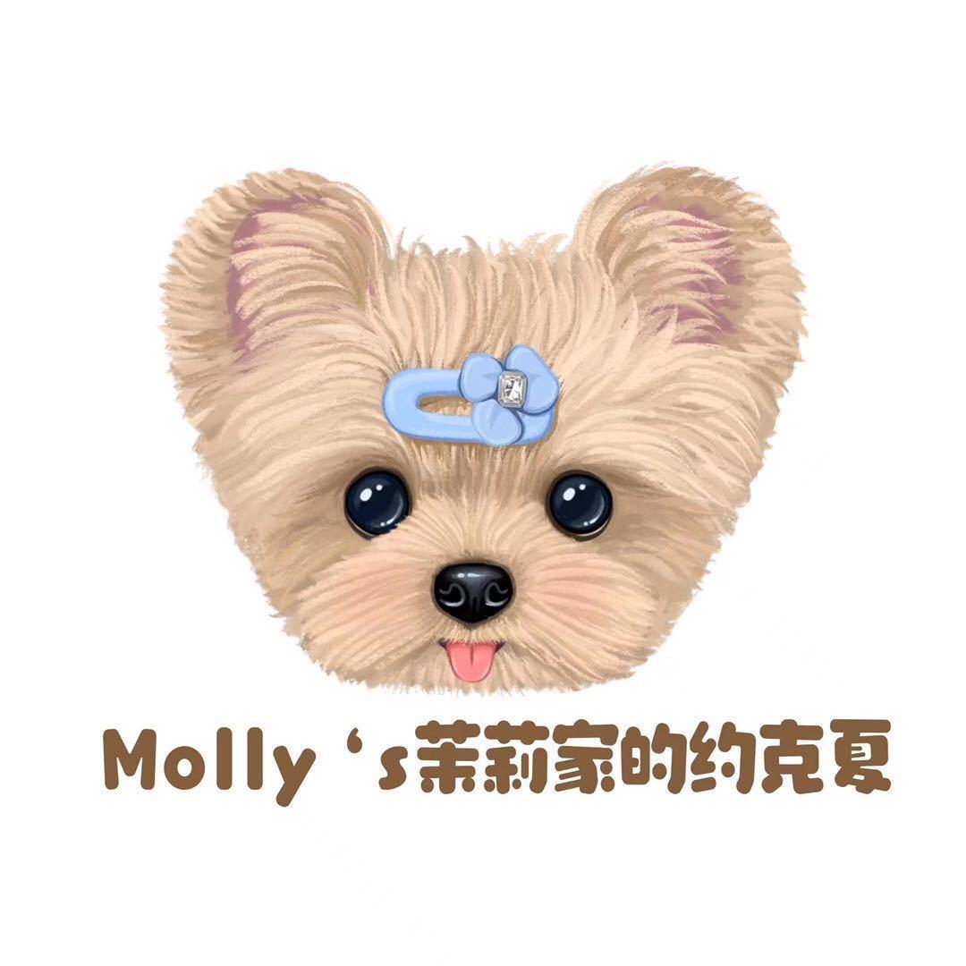 成都茉莉家约克夏