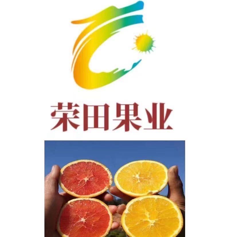 刘公子