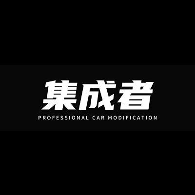 集成者汽车专用防虫网