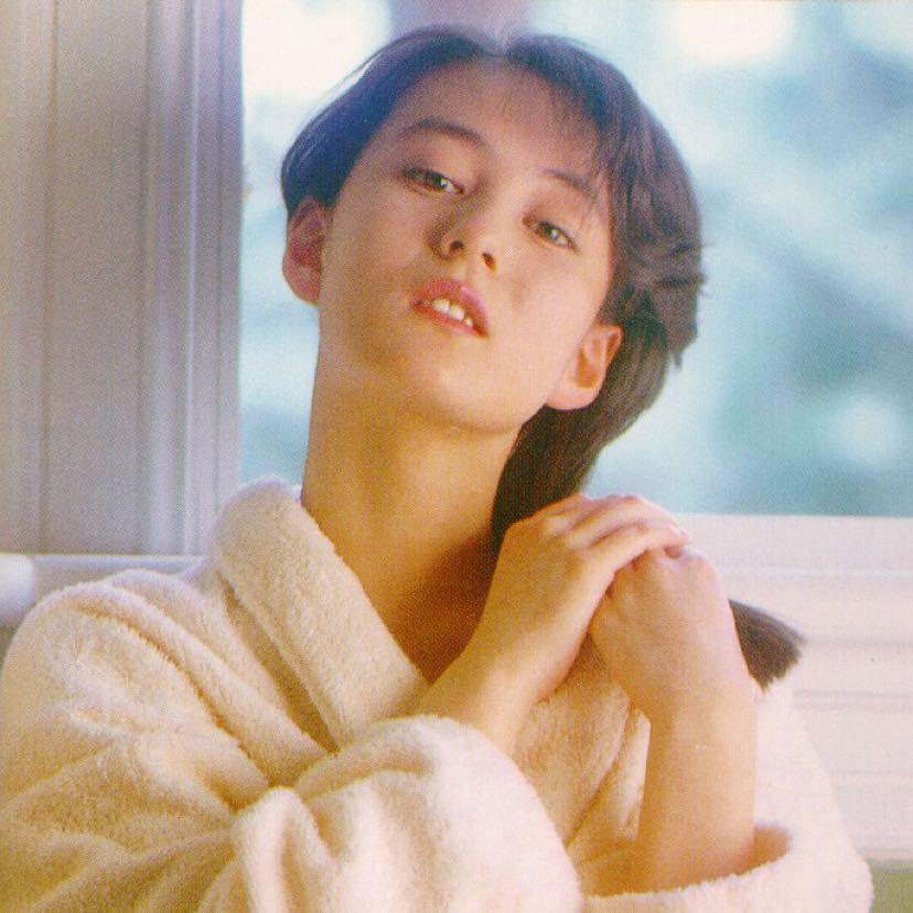 芥末芥木