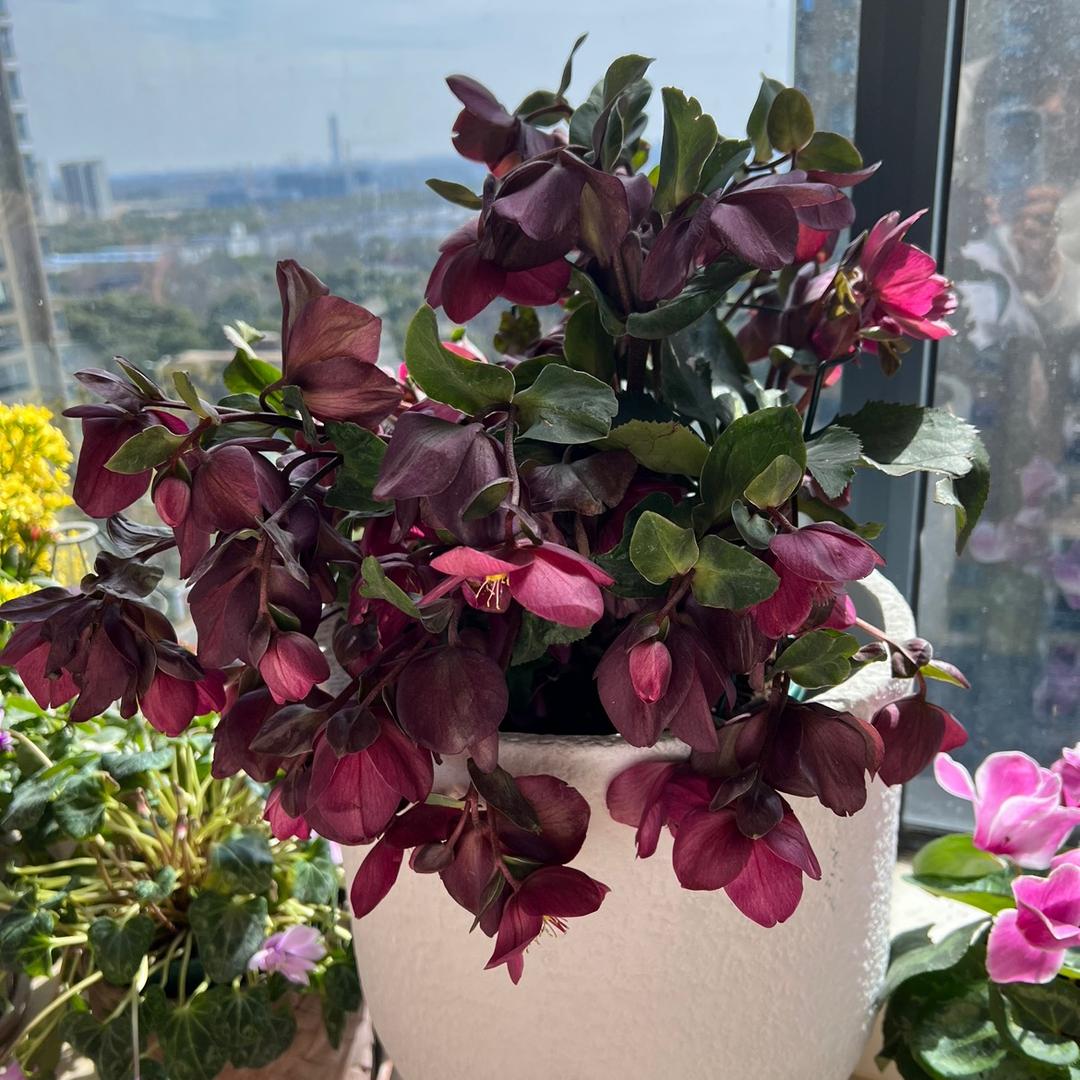 漠漠然 จุ๊บ