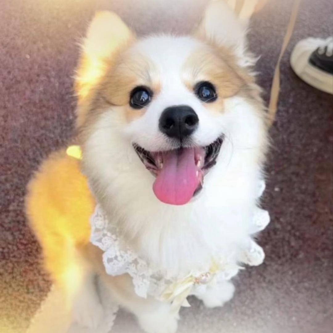 申大宝呀🎀