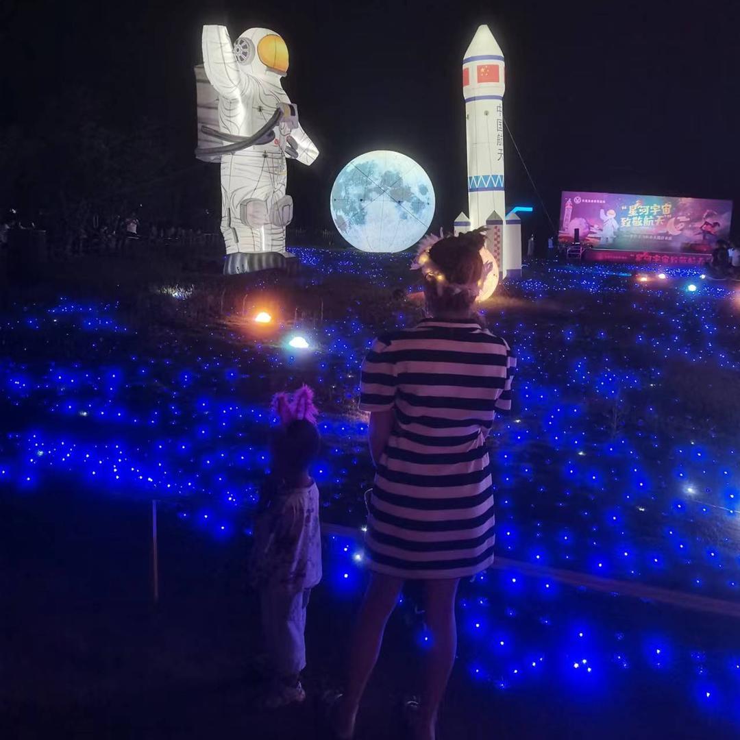 静静公主